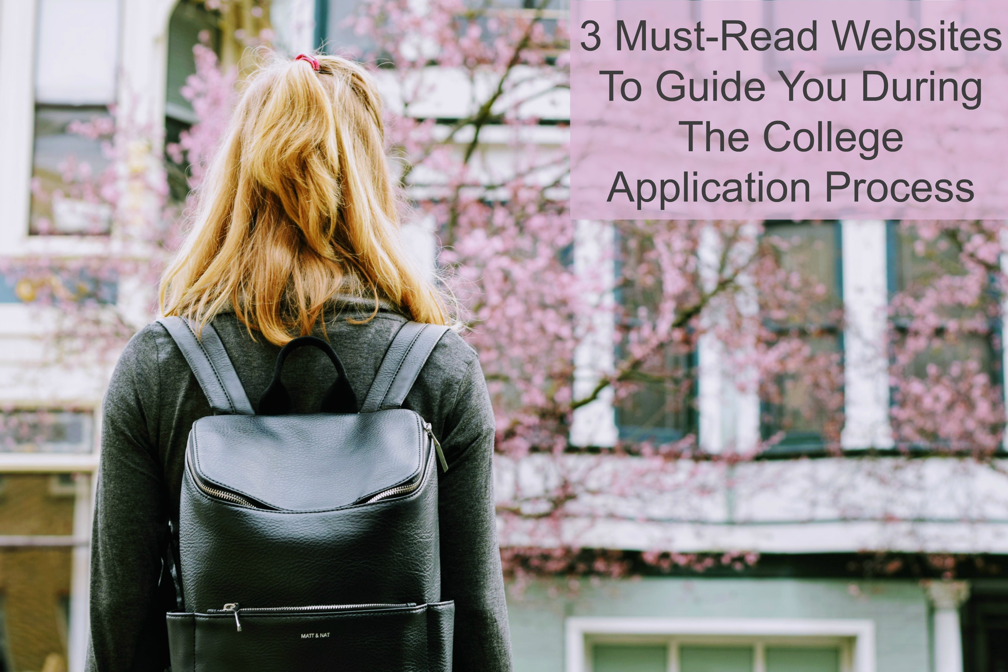 3 Must-Read Websites To Guide You During The College Application Process
